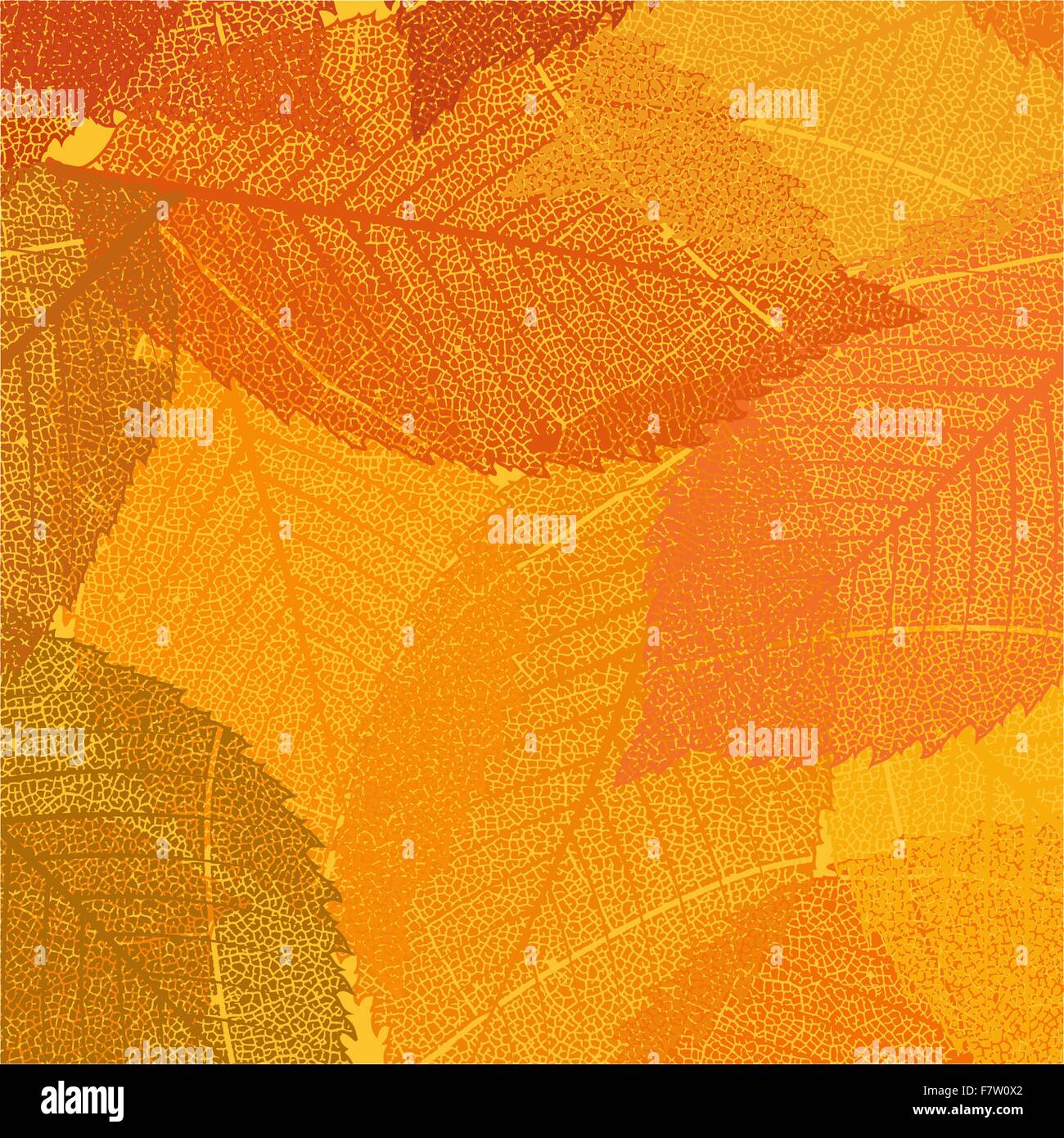 Dry autumn leaves template. EPS 8 Stock Vector Image & Art - Alamy