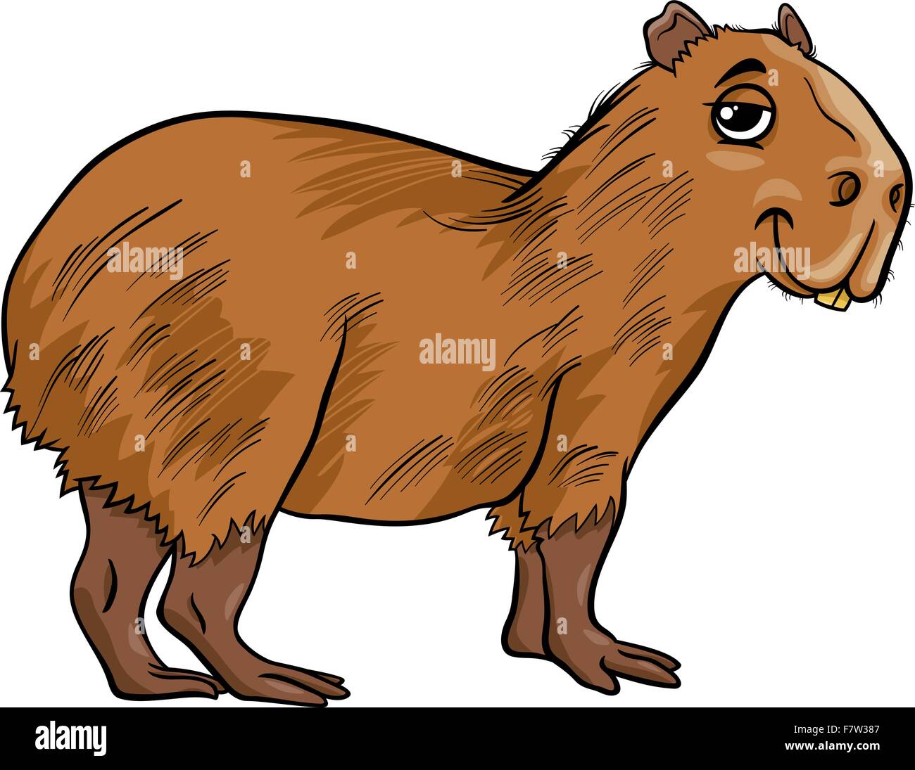 capybara animal cartoon illustration Stock Vector
