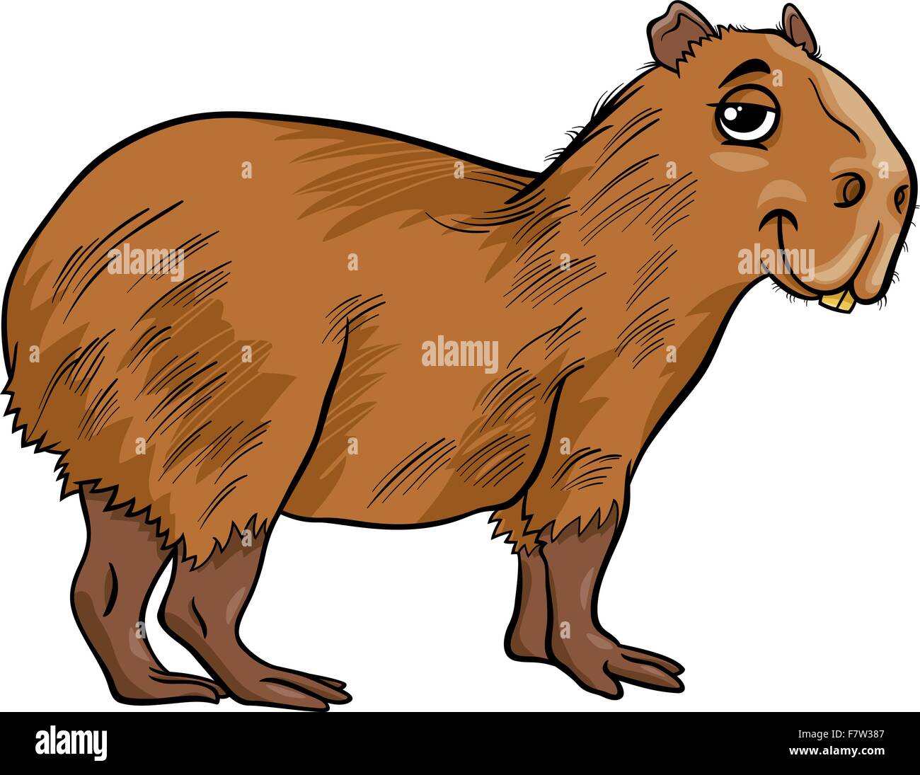 Vetores de Desenho De Capivara Fofo e mais imagens de Animal - Animal,  Capivara, Horizontal - iStock