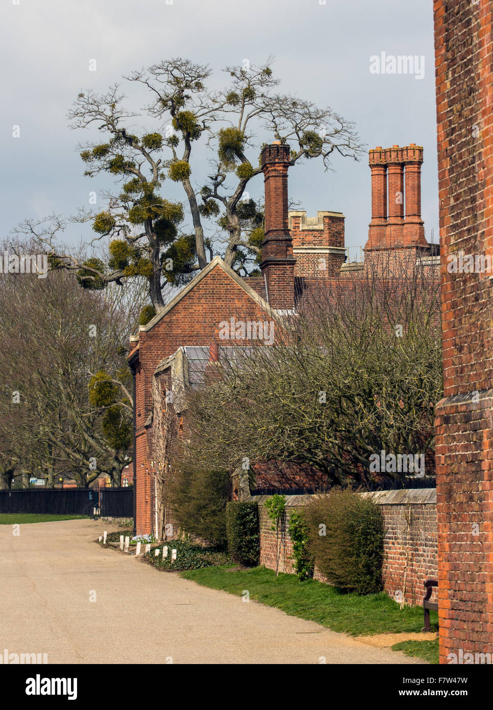Hampton hires stock photography and images Alamy
