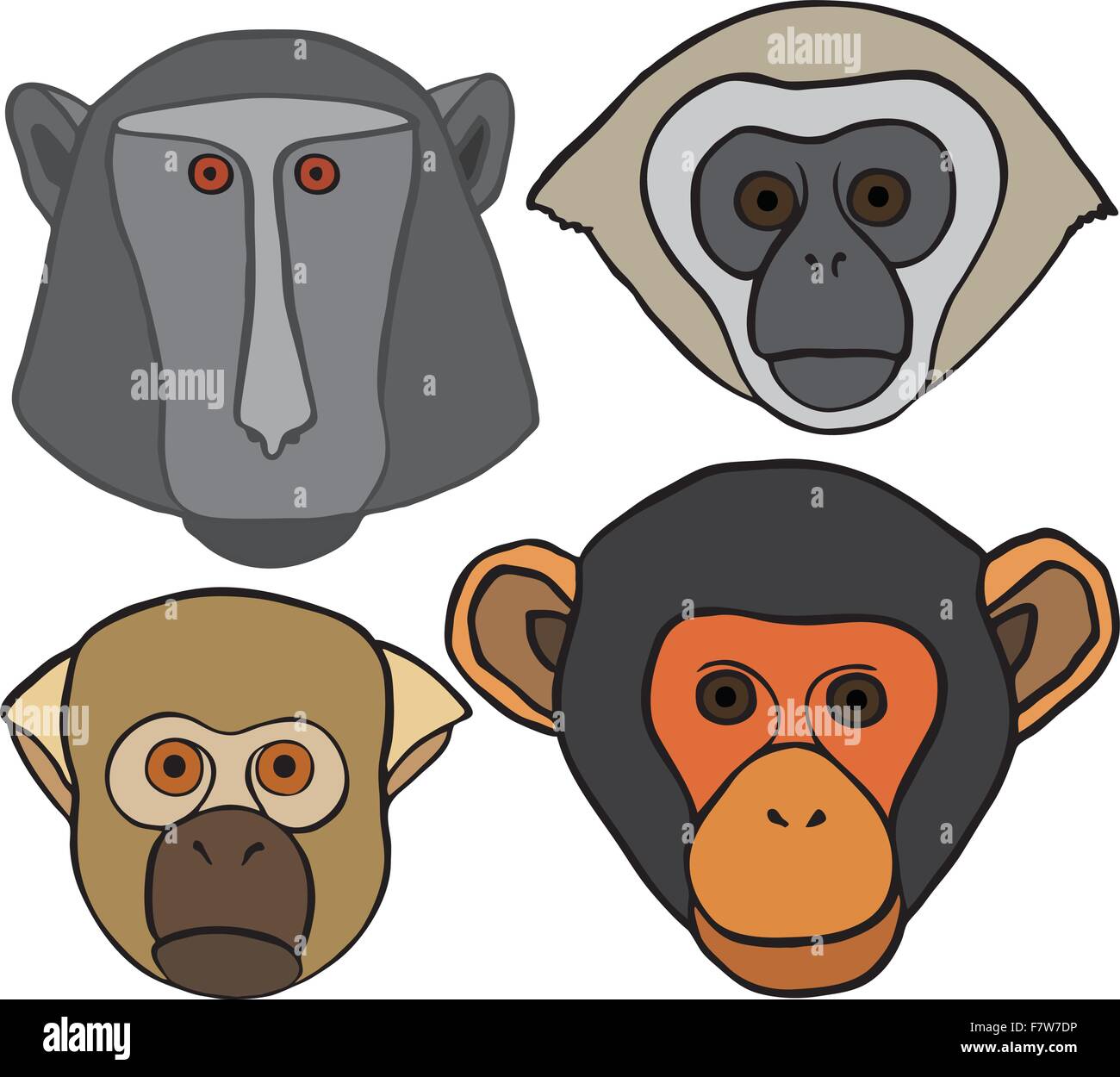 Vector Ornate Monkey Head Stock Vector Image & Art - Alamy