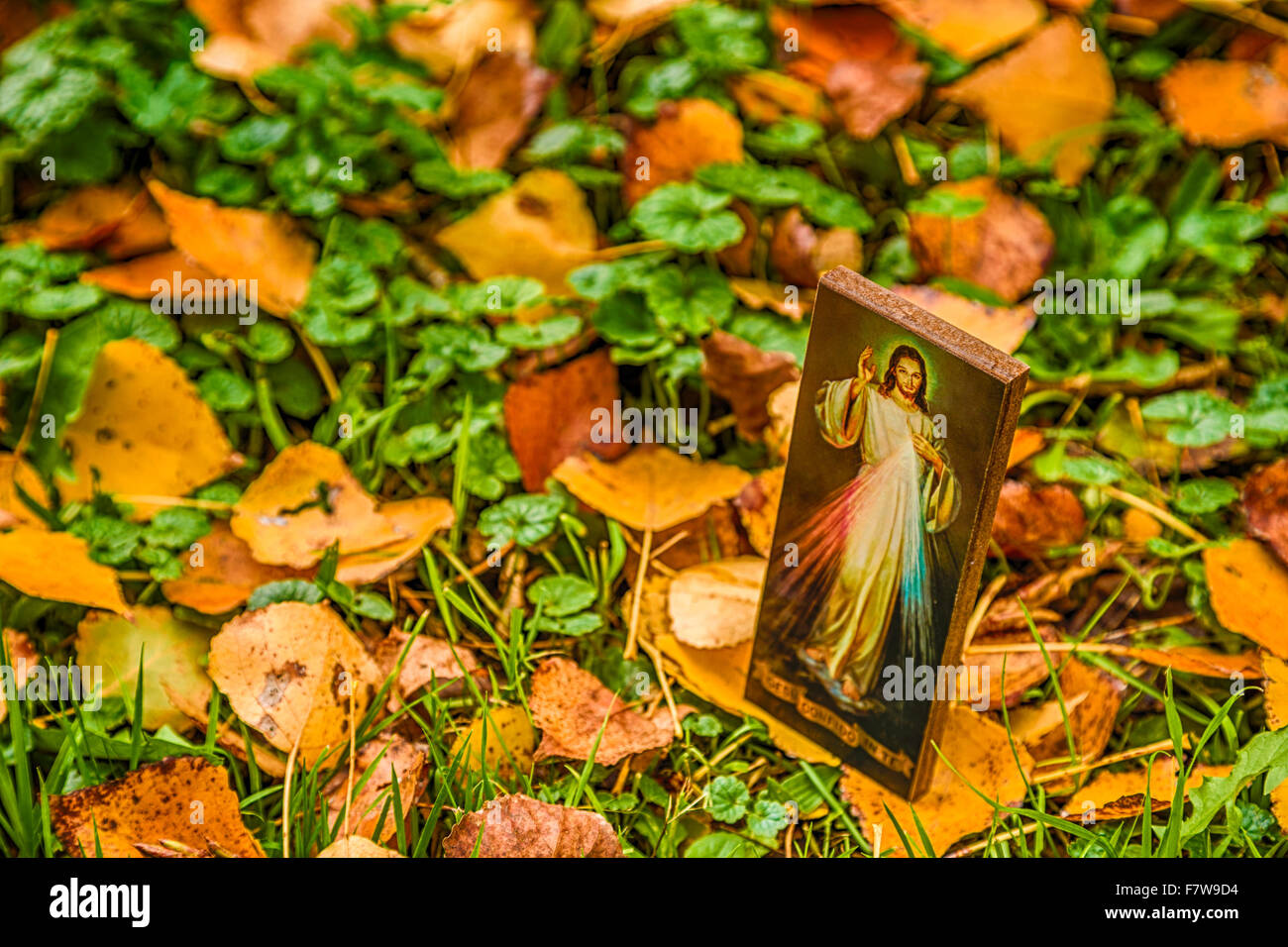 an icon with the picture of the Merciful Jesus among fallen leaves in Autumn: the translation of the Italian writing on bottom is Jesus, I trust in you Stock Photo