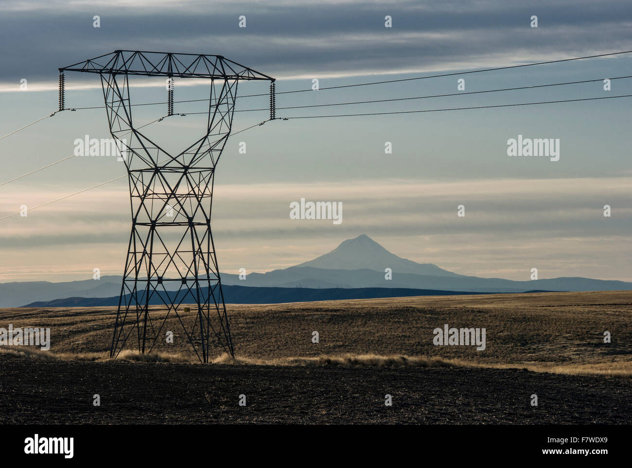High power lines, Mount Hood, Oregon, United States Stock Photo