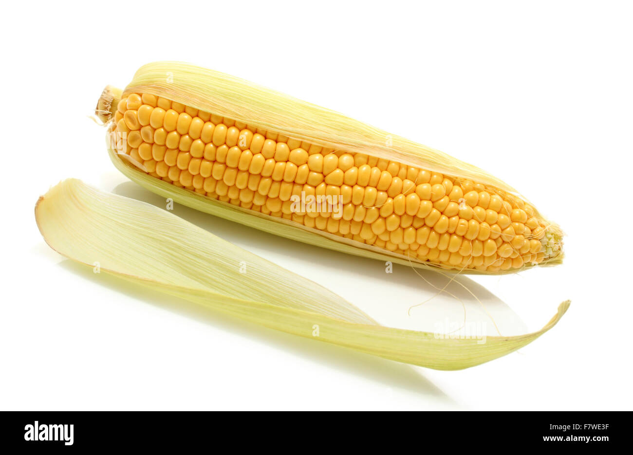 Ear of corn Stock Photo Alamy