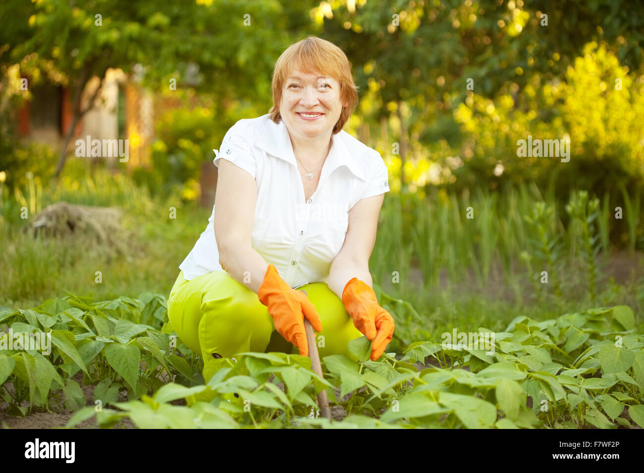 Happy mature woman working in her vegetable garden Stock Photo - Alamy