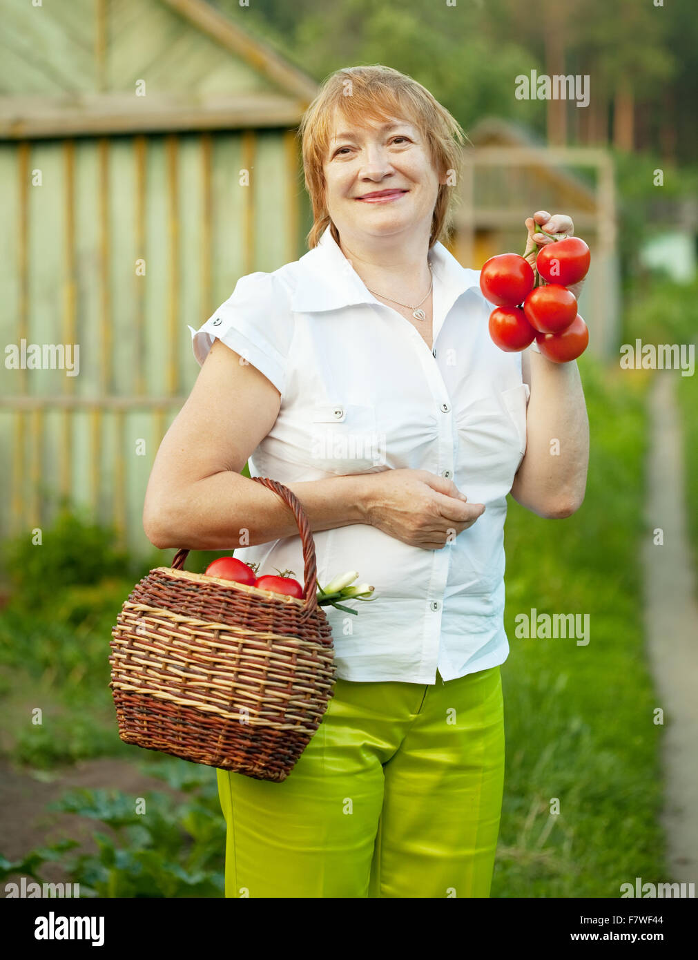 Happy mature woman with basket of harvested vegetables Stock Photo - Alamy