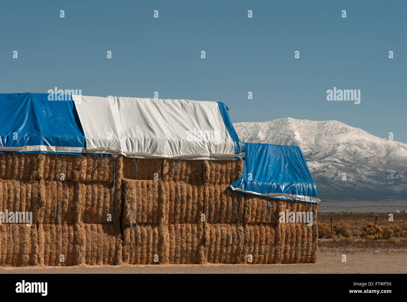 Hay bales, Nevada, United States Stock Photo