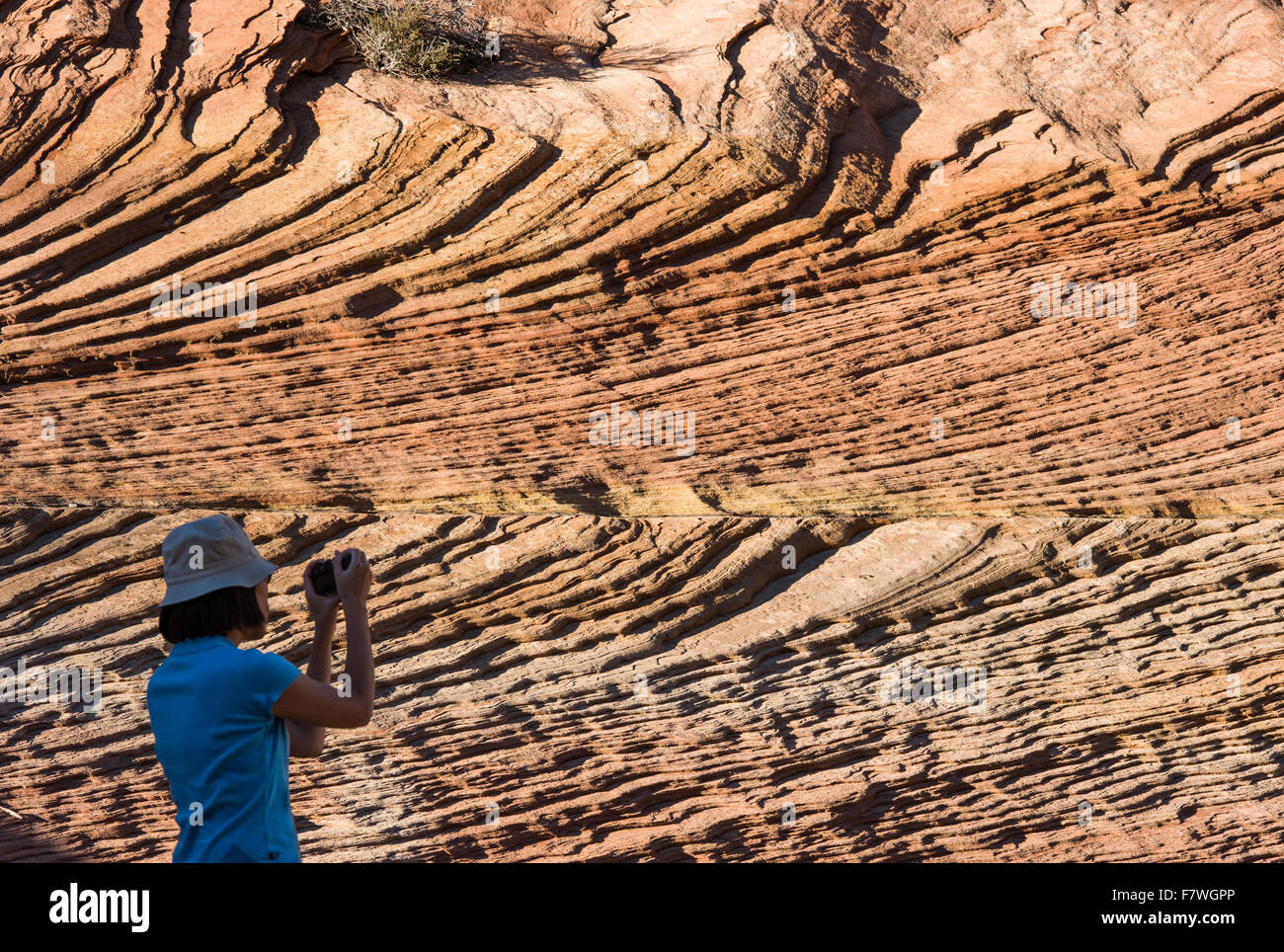 Woman photographing, Zion National Park, Utah, USA Stock Photo