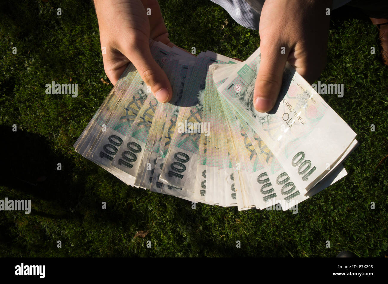 one hundred,100 Czech crowns, bank note, notes, money (CTK Photo/Libor ...