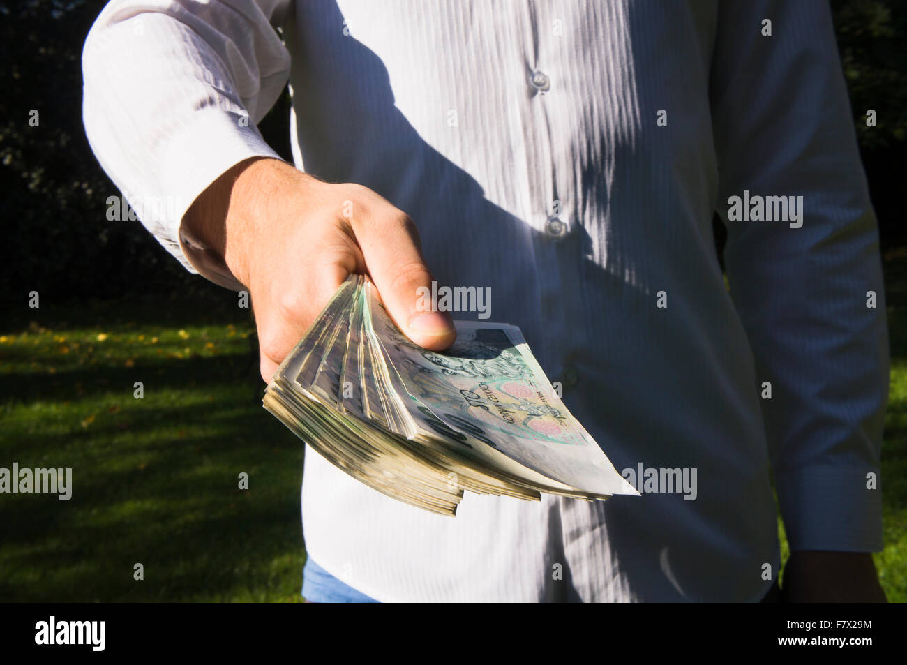 one hundred,100 Czech crowns, bank note, notes, money (CTK Photo/Libor ...