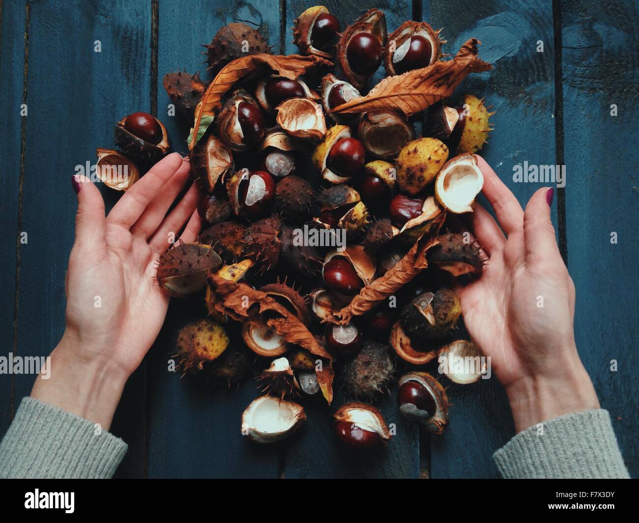 Human hands with a pile of Chestnuts and leaves on a table Stock Photo