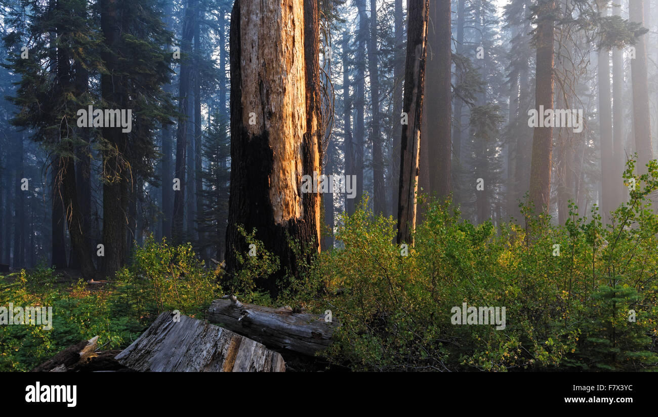 Canyon fire hires stock photography and images Alamy