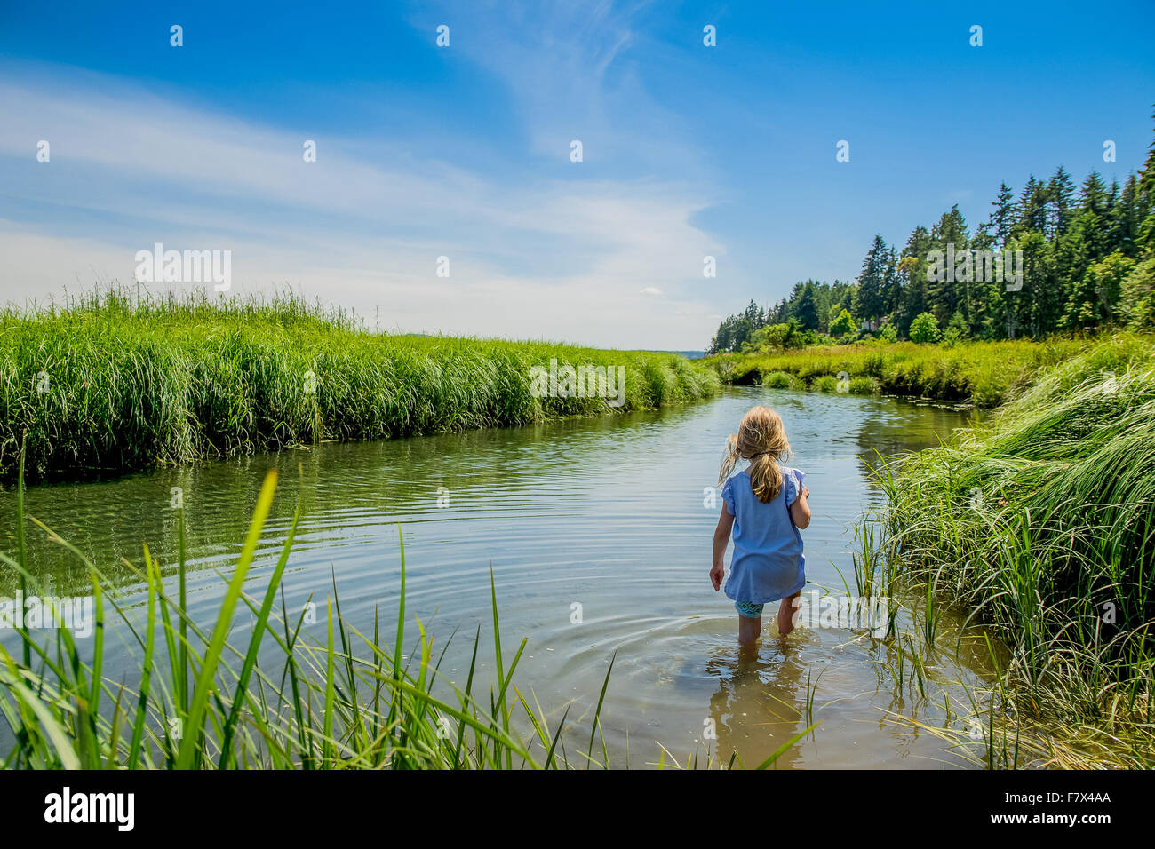 Rear view of girl walking in river Stock Photo