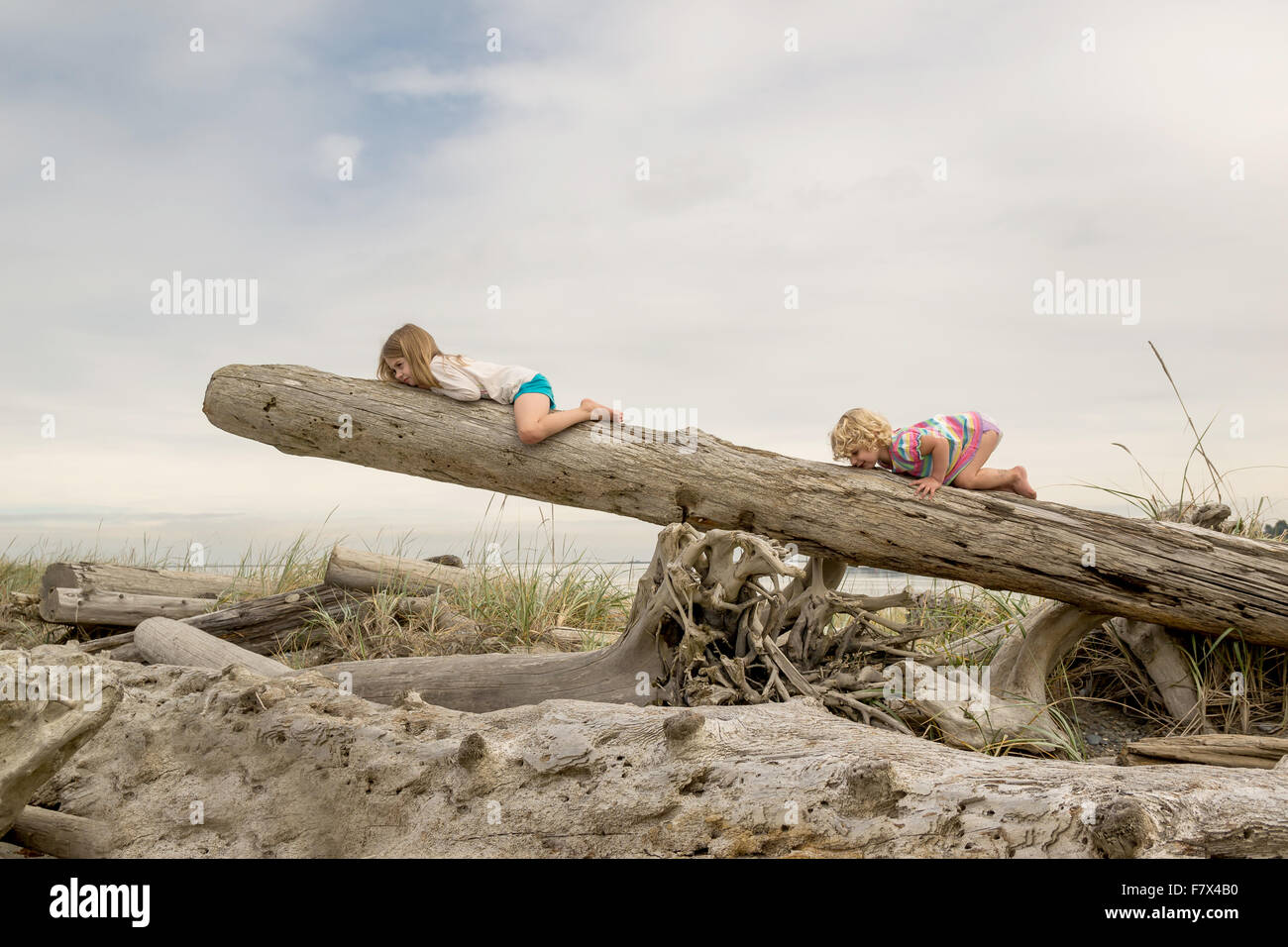 Two girls crawling a tree trunk on the beach Stock Photo