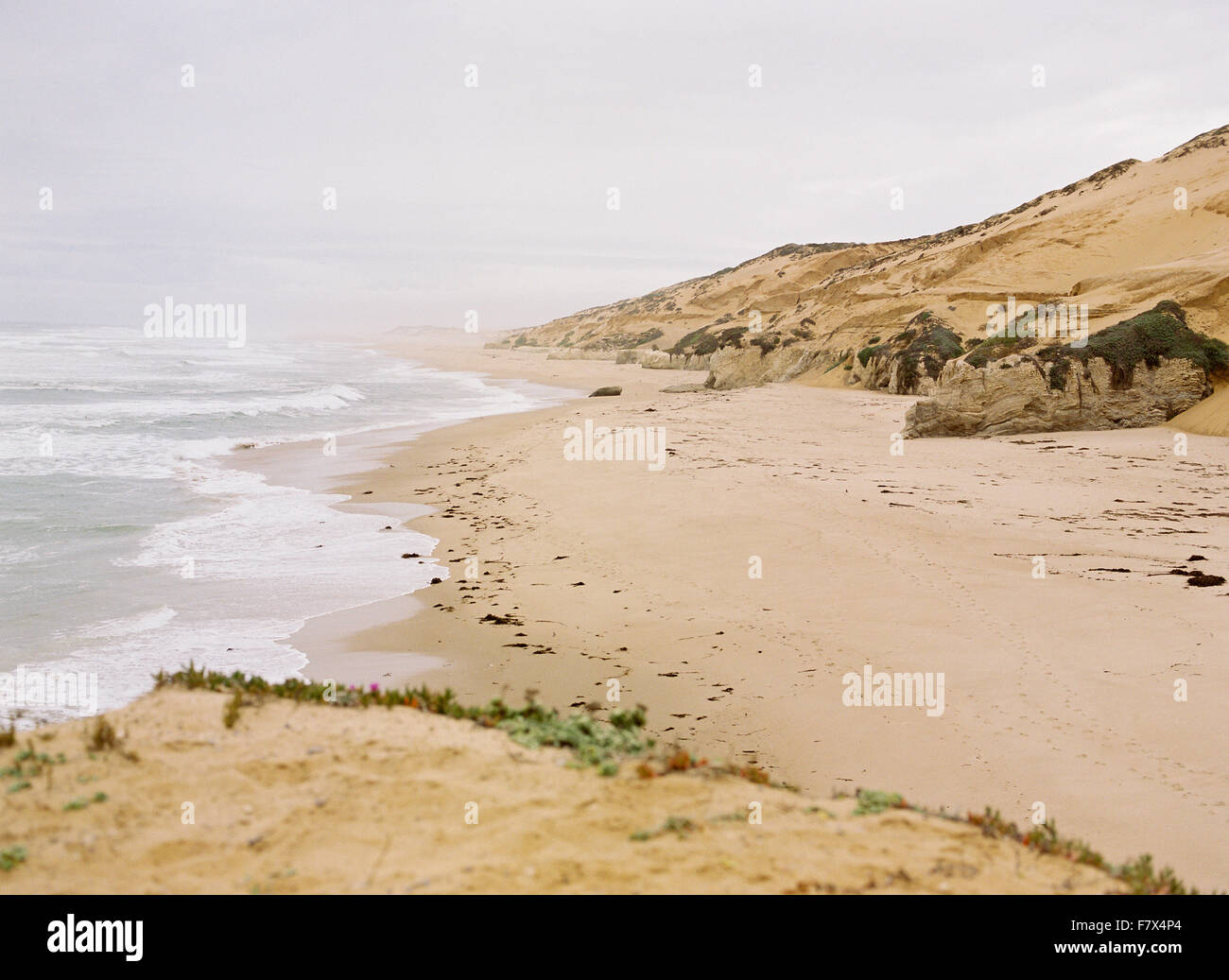 Guadalupe Beach, California, USA Stock Photo Alamy
