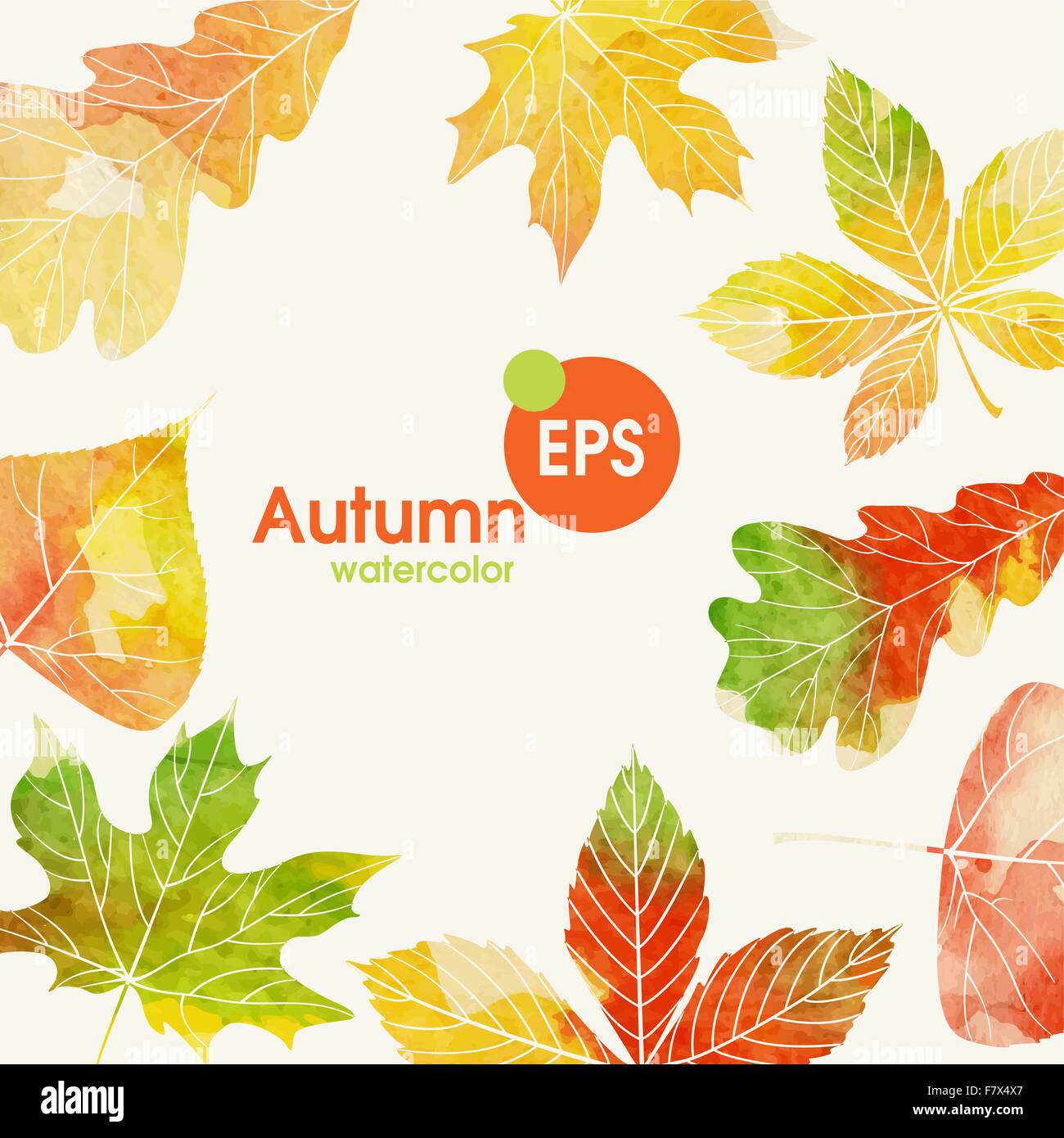 Autumn Background With Leaves Stock Vector Image & Art - Alamy