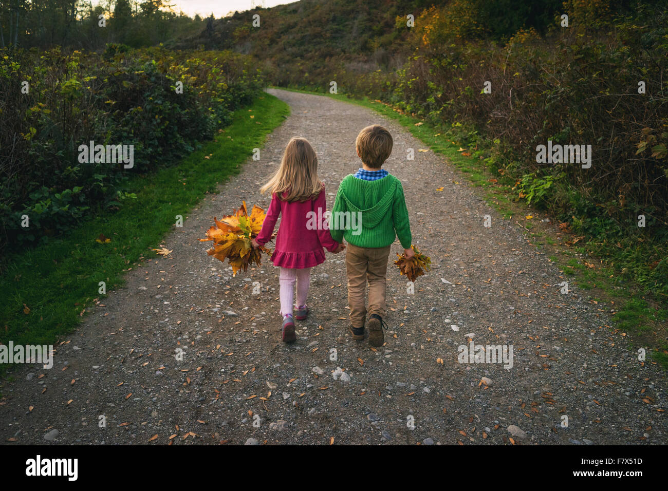 Boy and girl walking down path holding hands, carrying autumn leaves Stock Photo