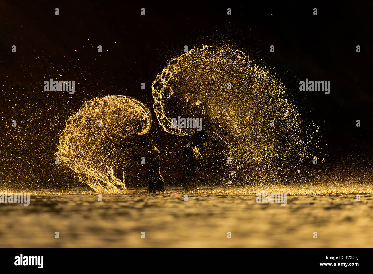 Two boys splashing in the water Stock Photo - Alamy