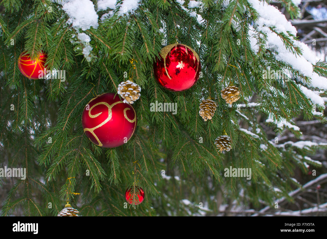 green fir tree Christmas dressed up by toys Stock Photo