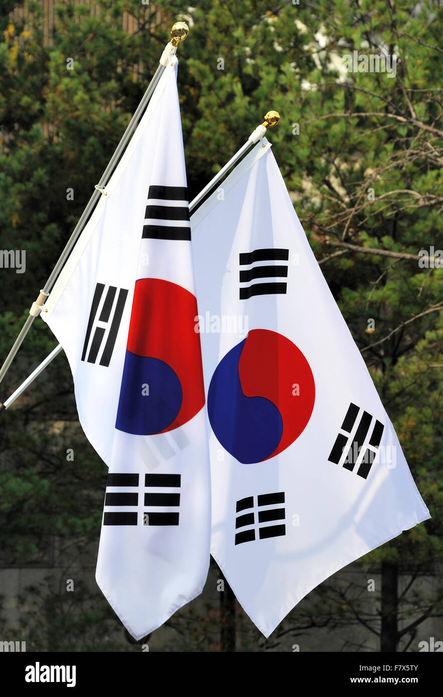 The national flag of South Korea. It has three parts: a white background, a red and blue Taeguk, which is a red and blue Taiji Stock Photo
