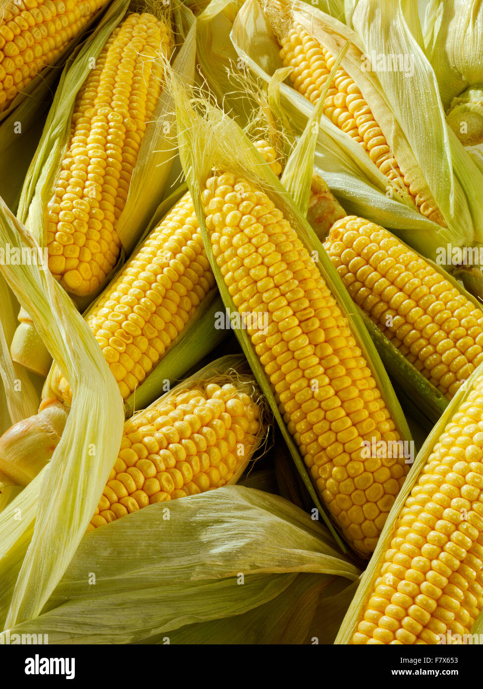 whole fresh sweet corn cobs Stock Photo