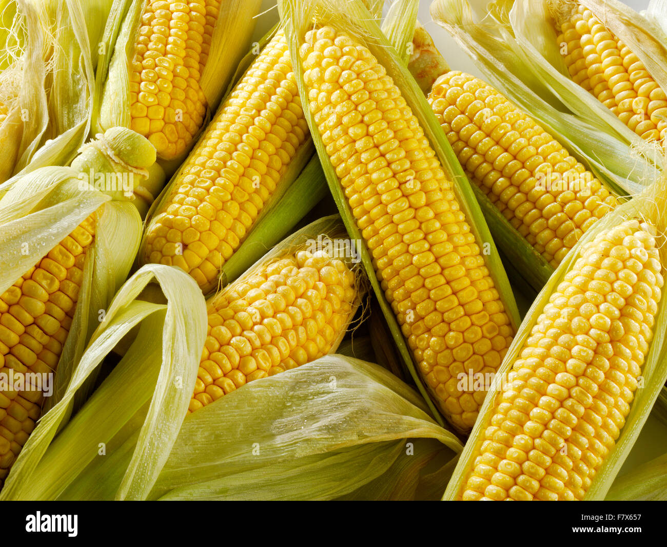 whole fresh sweet corn cobs Stock Photo