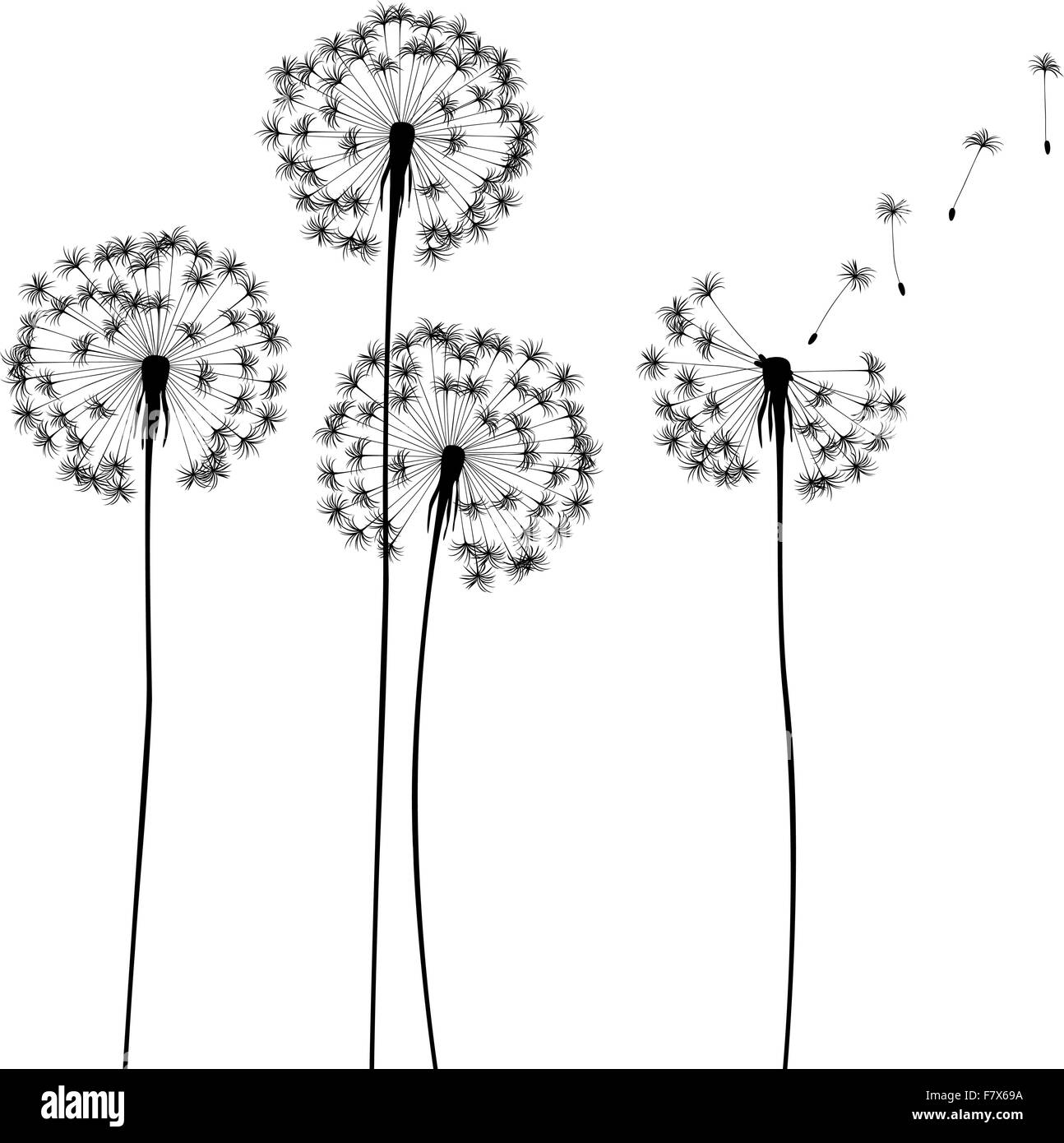 collection, for designers, plant vector Stock Vector