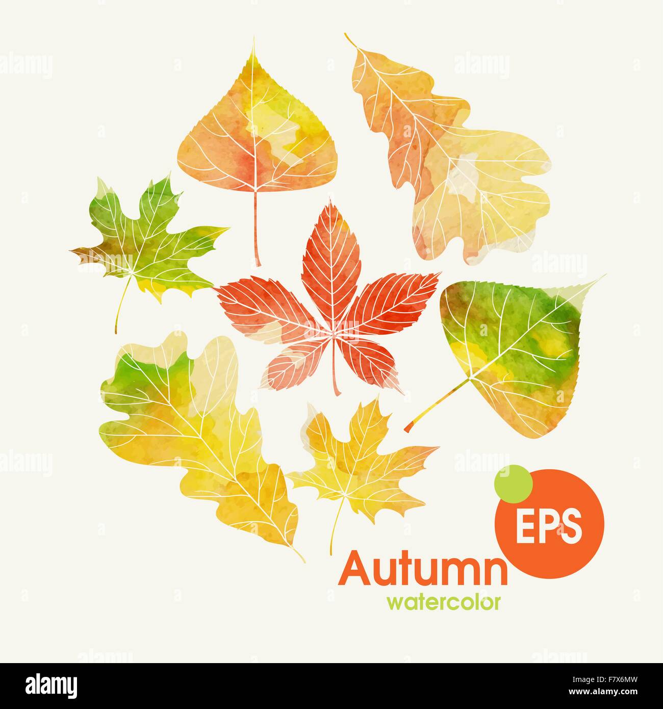 Autumn Background With Leaves Stock Vector Image & Art - Alamy