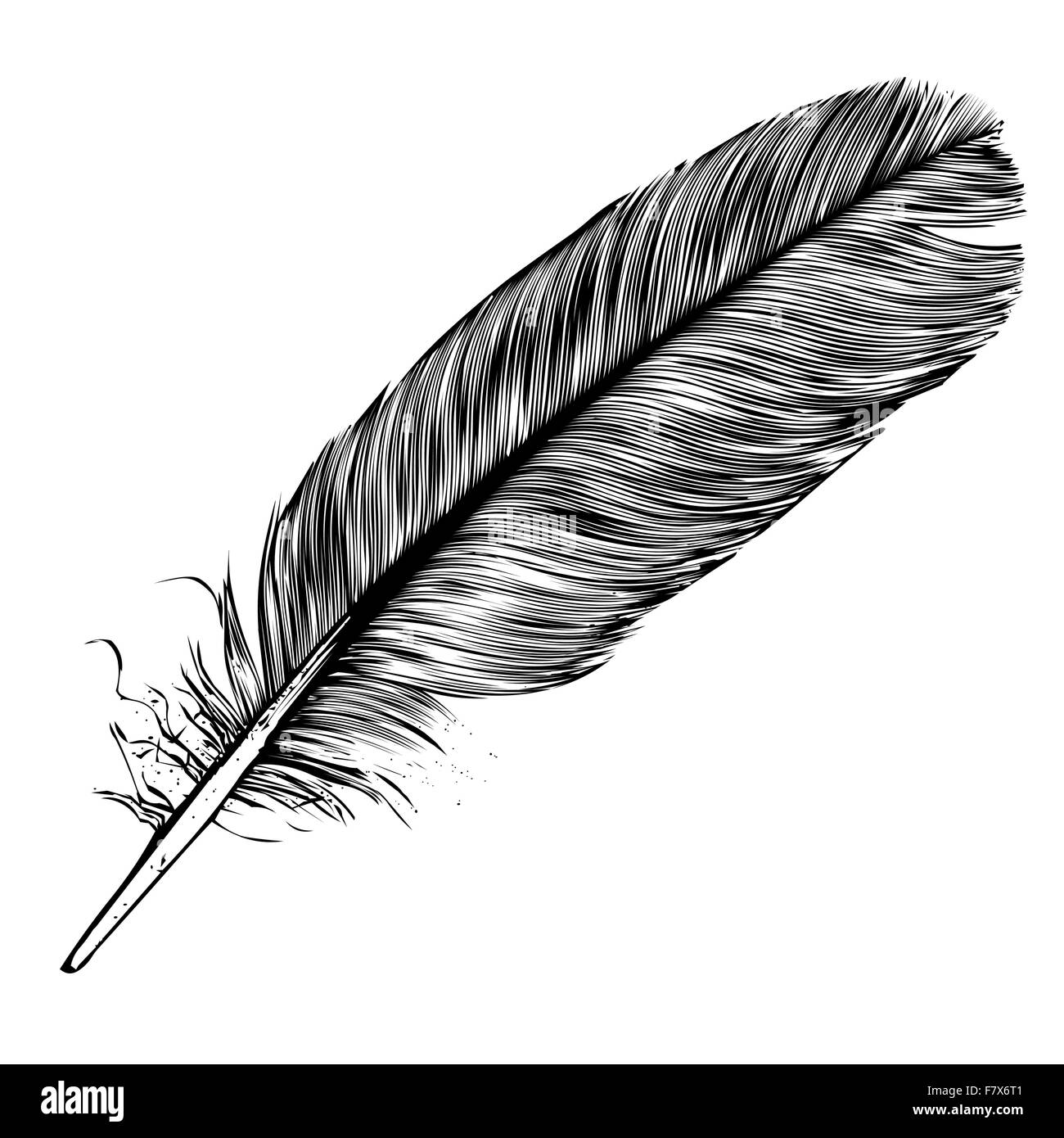 Plume Stock Vector Images - Alamy