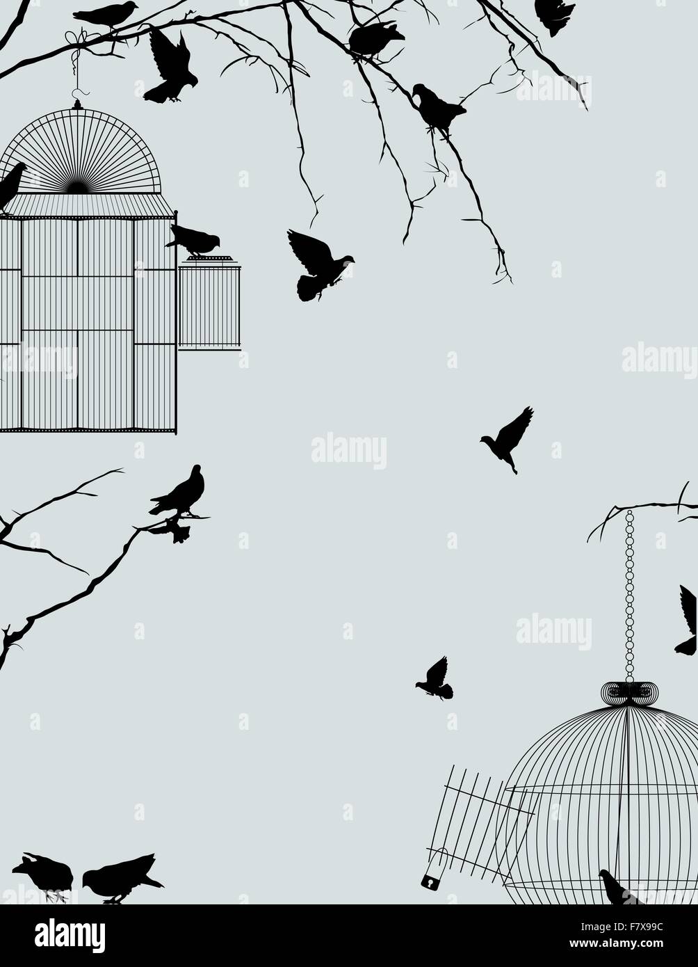 Birds and birdcages postcard 2 Stock Vector