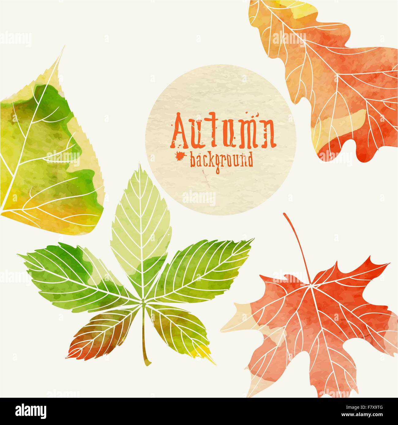 Autumn Background With Leaves Stock Vector Image & Art - Alamy