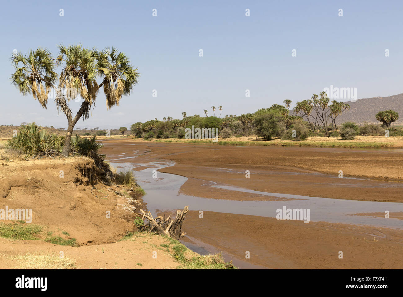 View of nearly driedup river in semidesert dry savannah habitat Stock