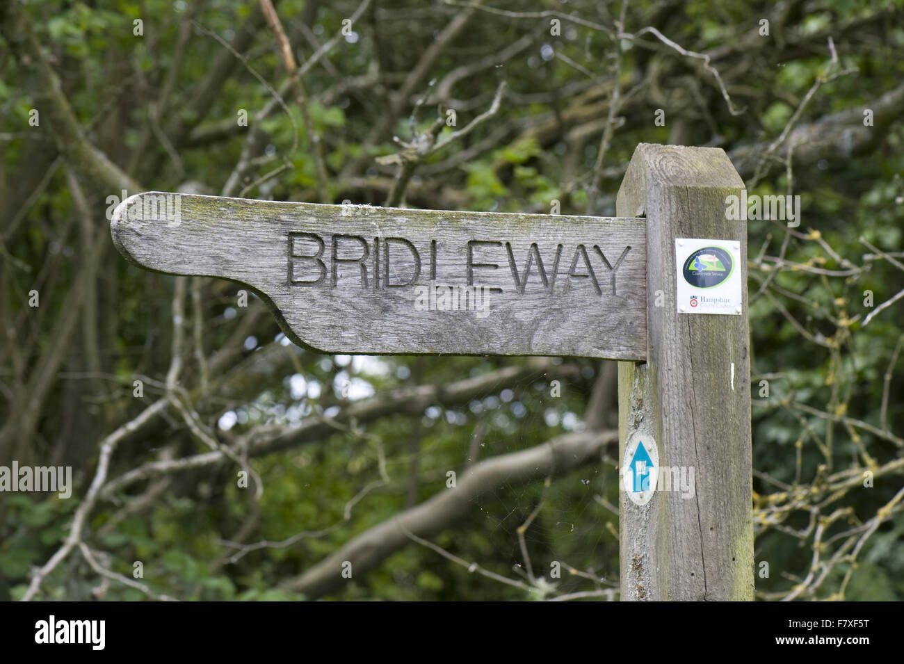 Wooden bridleway sign, Countryside Services, Hampshire, England, June Stock Photo
