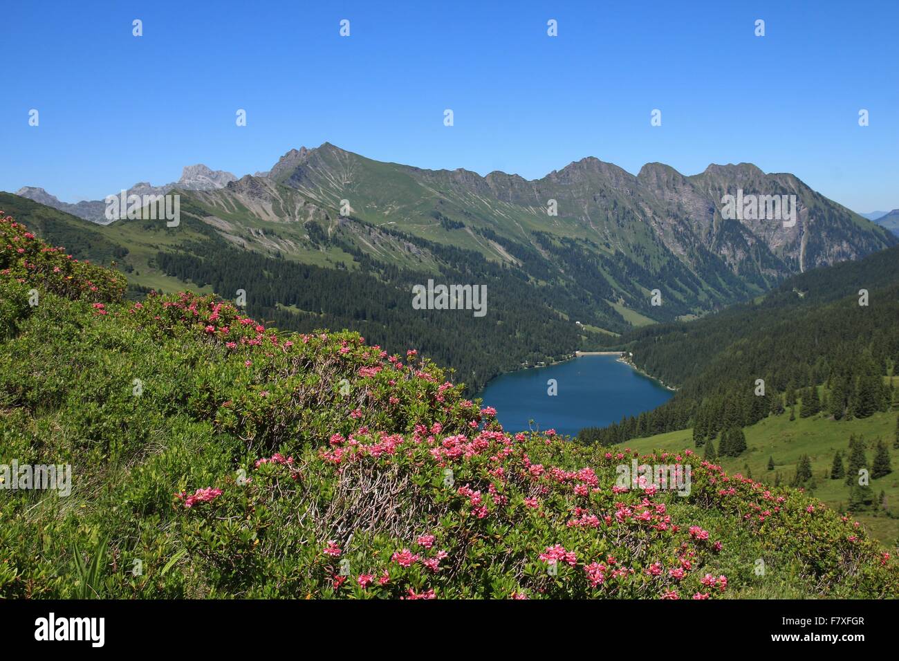 Arnensee hi-res stock photography and images - Alamy