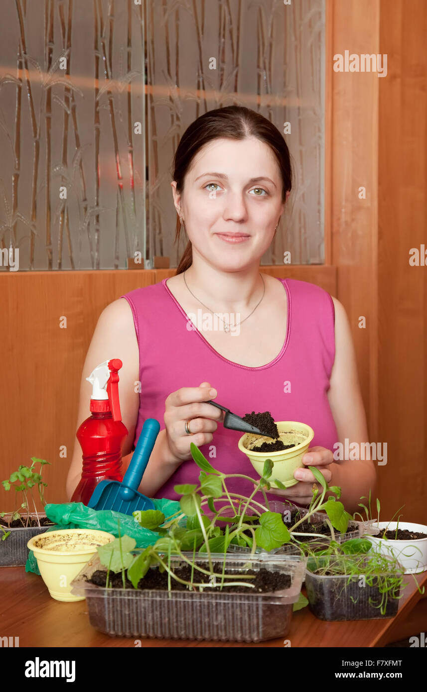 Female gardener with various seedlings at home Stock Photo Alamy