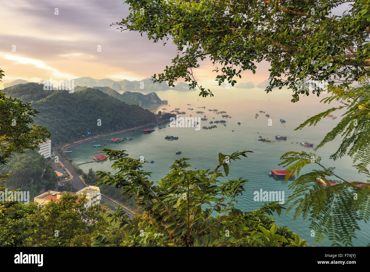 Cat Ba island colourful boats Stock Photo Alamy