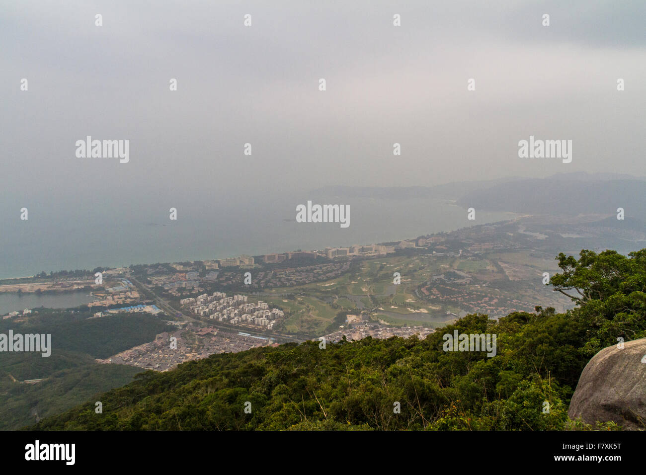 Chinese jungle, island of Hainan Stock Photo