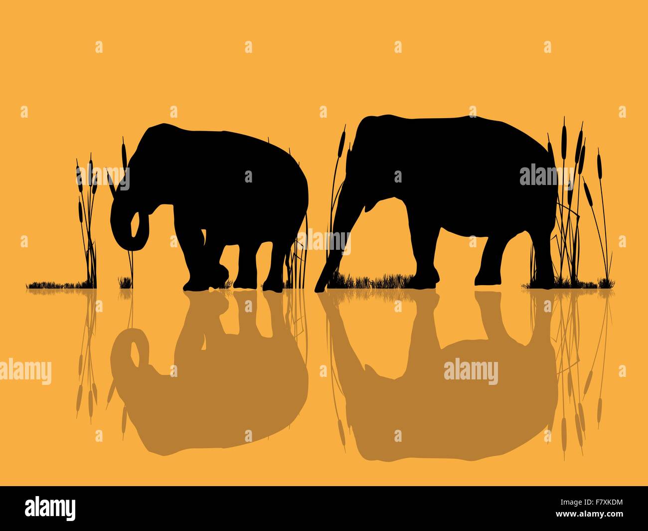 Elephants in the water Stock Vector
