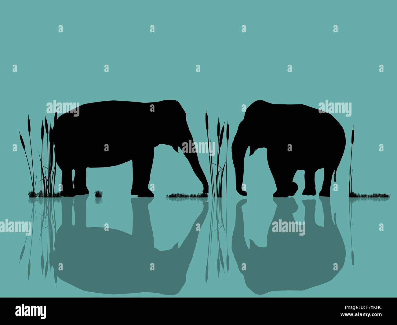 Elephants playing in the water Stock Vector