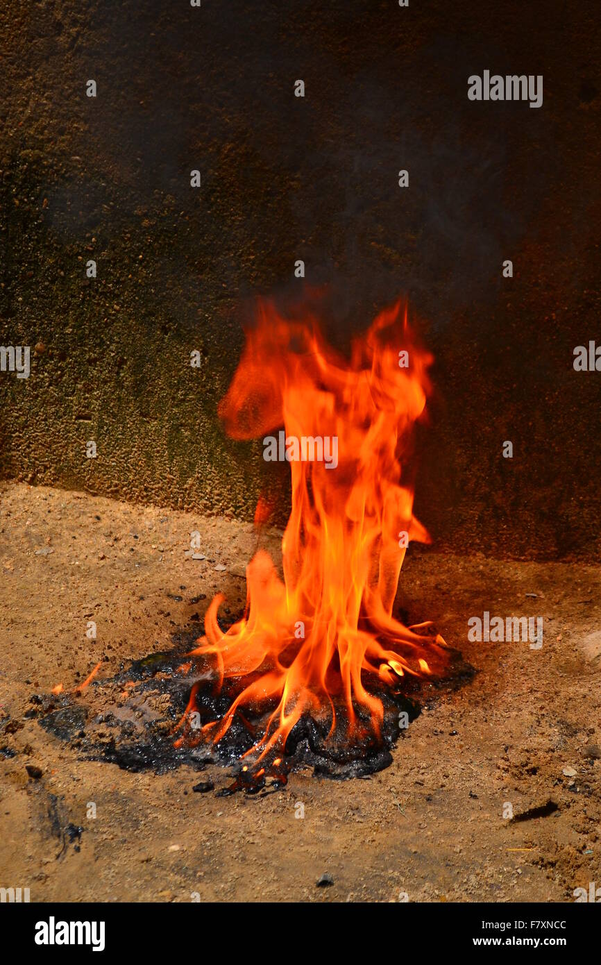 Fire in full combustion Stock Photo