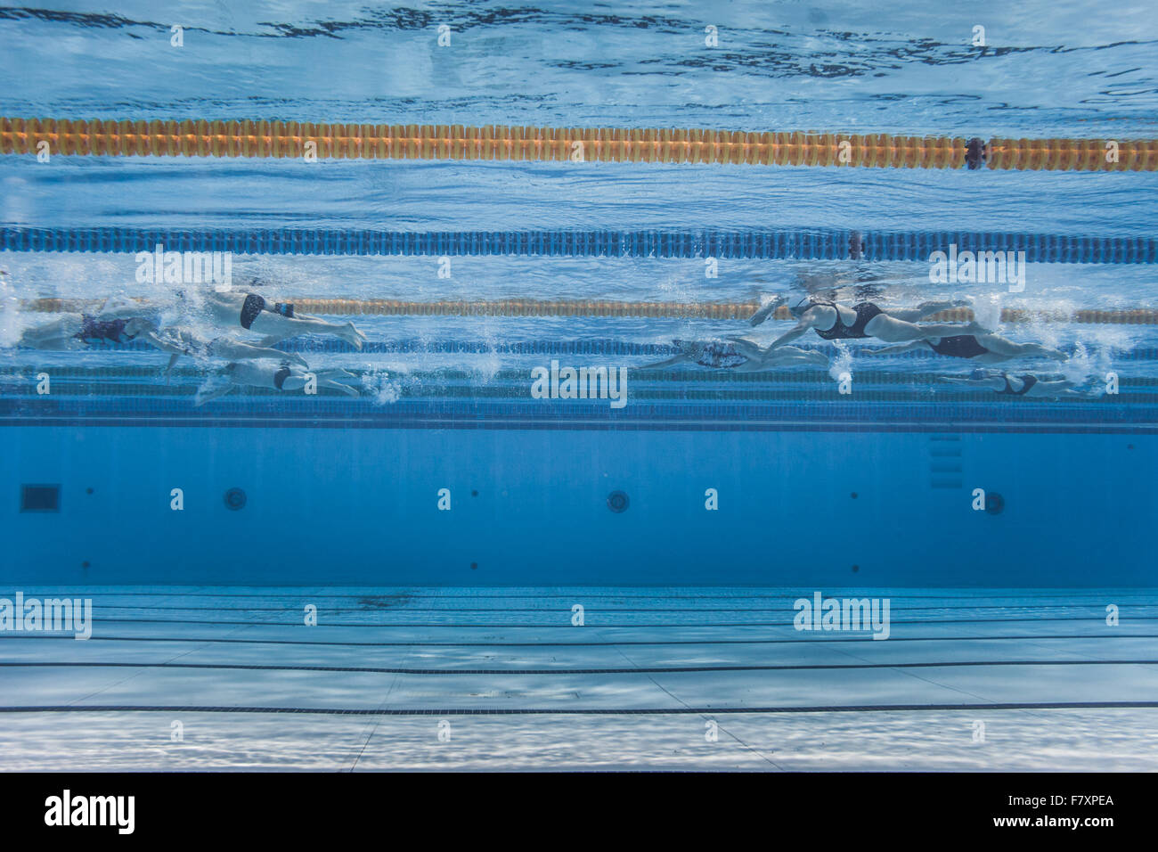 Underwater view of Unrecognizable Professional Swimmers Training into a