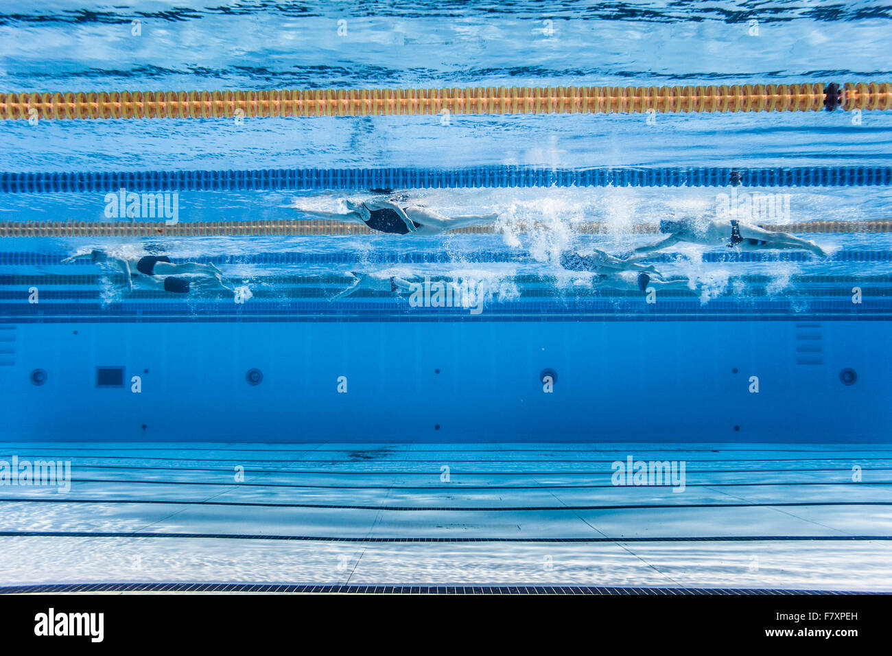 Underwater view of Unrecognizable Professional Swimmers Training into a
