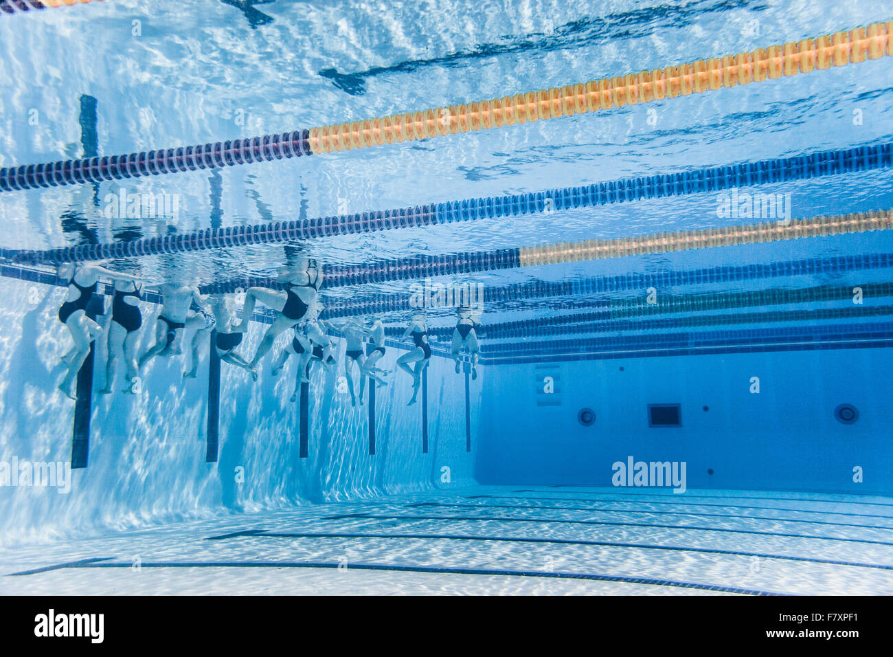 Underwater view of Unrecognizable Professional Swimmers Training into a
