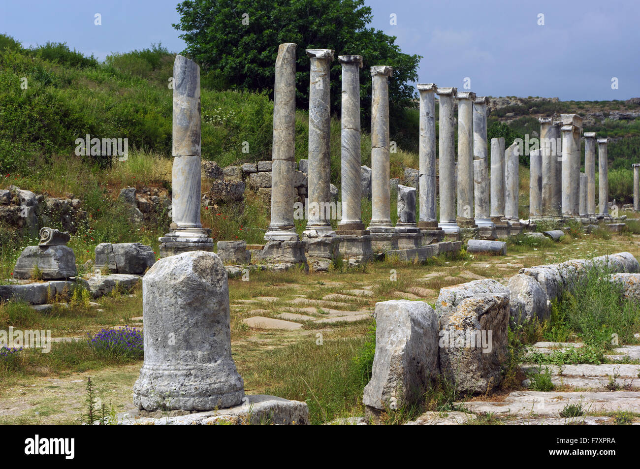 Perge Agora Roman Ruin Remains Columns Turkey Stock Photo