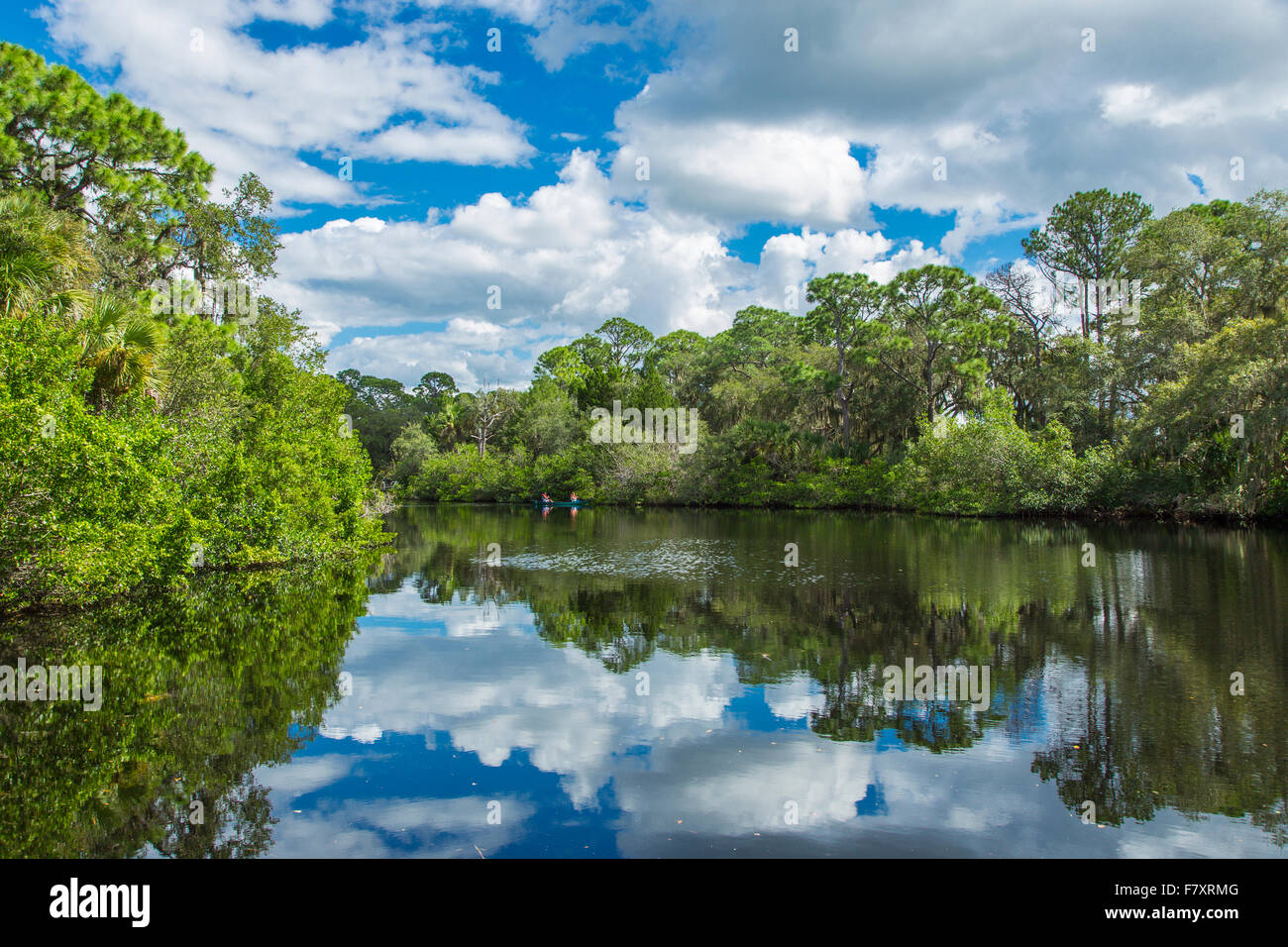 South Creek in Oscar Scherer State Park in Nokomis Florida Stock Photo ...