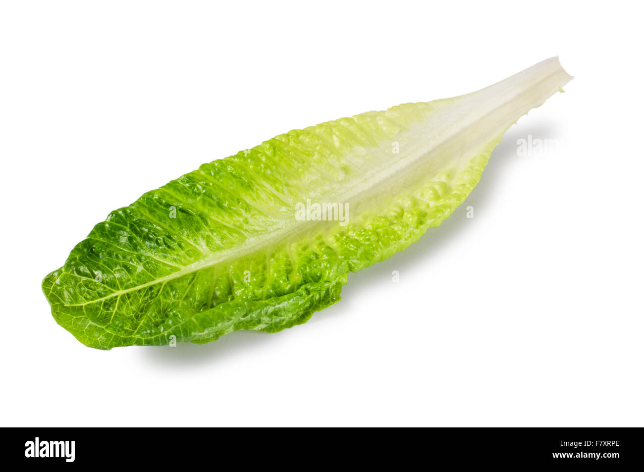 Lettuce leaf hires stock photography and images Alamy