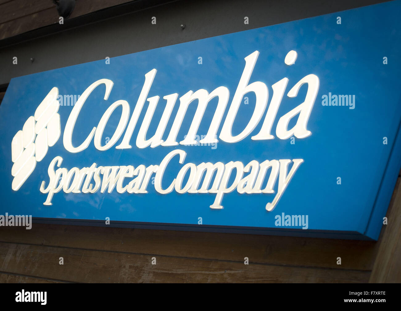 Sportswear companies 2024 in usa