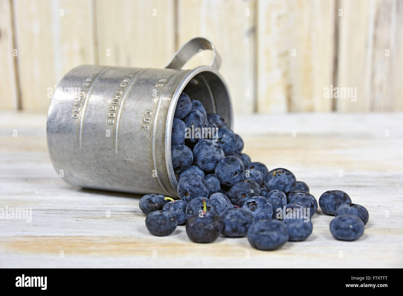 Ripe blueberries spilling out of a retro tin measuring cup on whitewashed wood. Stock Photo