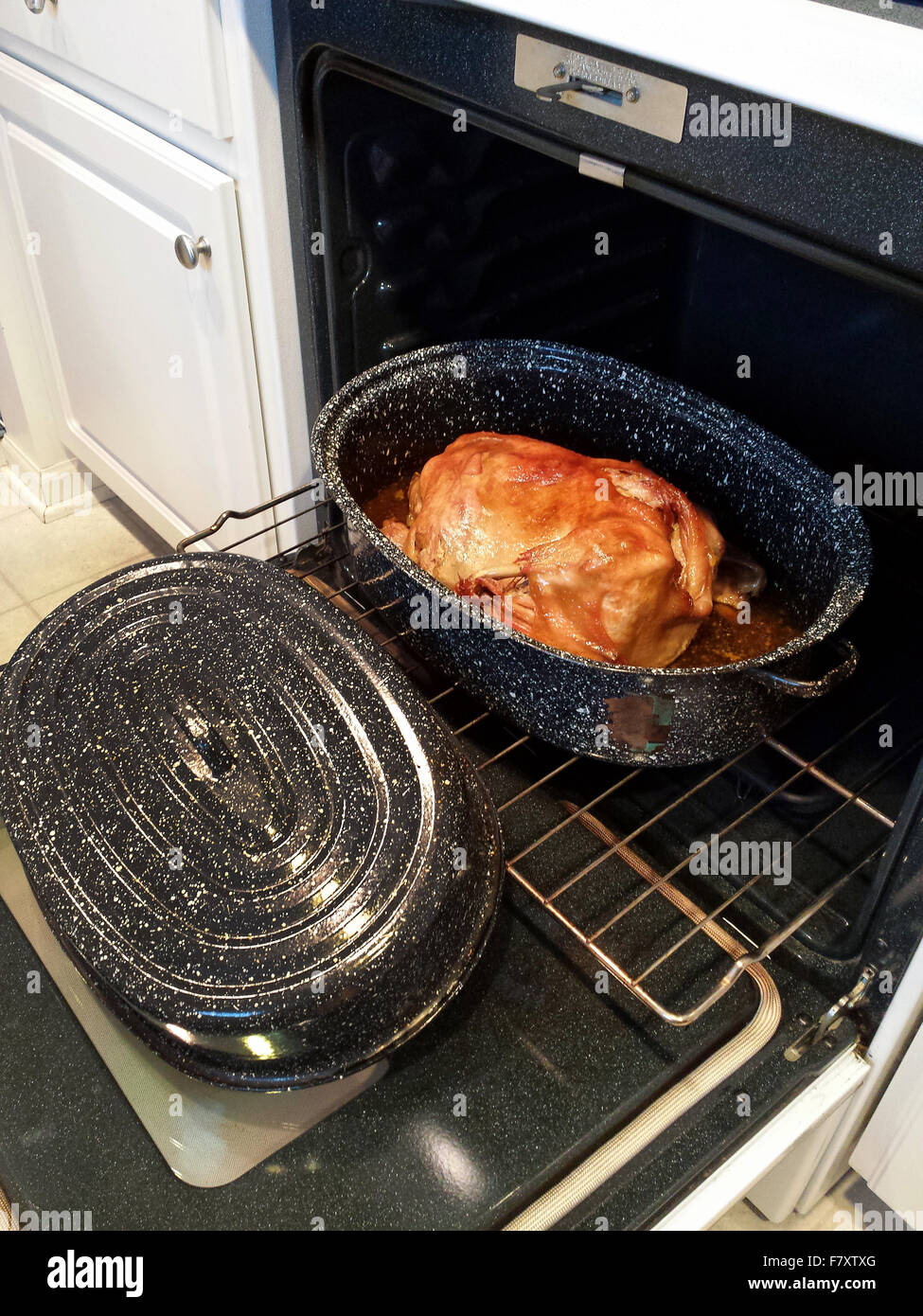 Roasted Thanksgiving turkey in old-fashioned turkey pan on oven rack. Stock Photo
