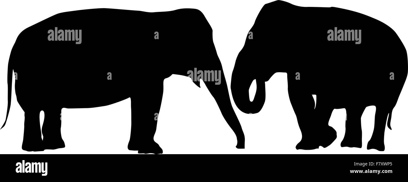 In love elephants Stock Vector